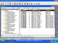 okno zam�wie� programu WF-mag dla Windows
